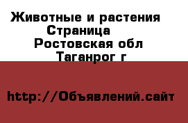  Животные и растения - Страница 11 . Ростовская обл.,Таганрог г.